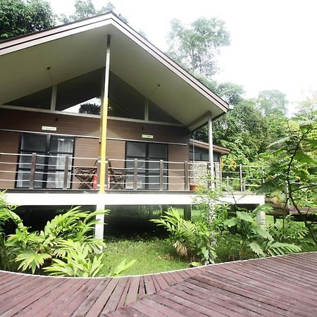 Hotel Mulu National Park Zewnętrze zdjęcie