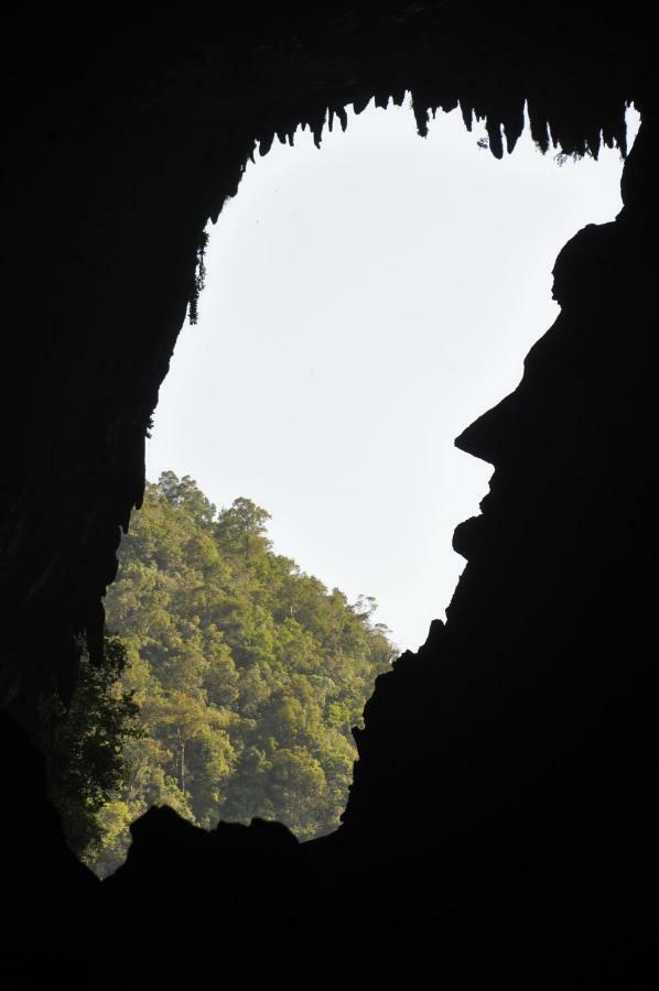 Hotel Mulu National Park Zewnętrze zdjęcie